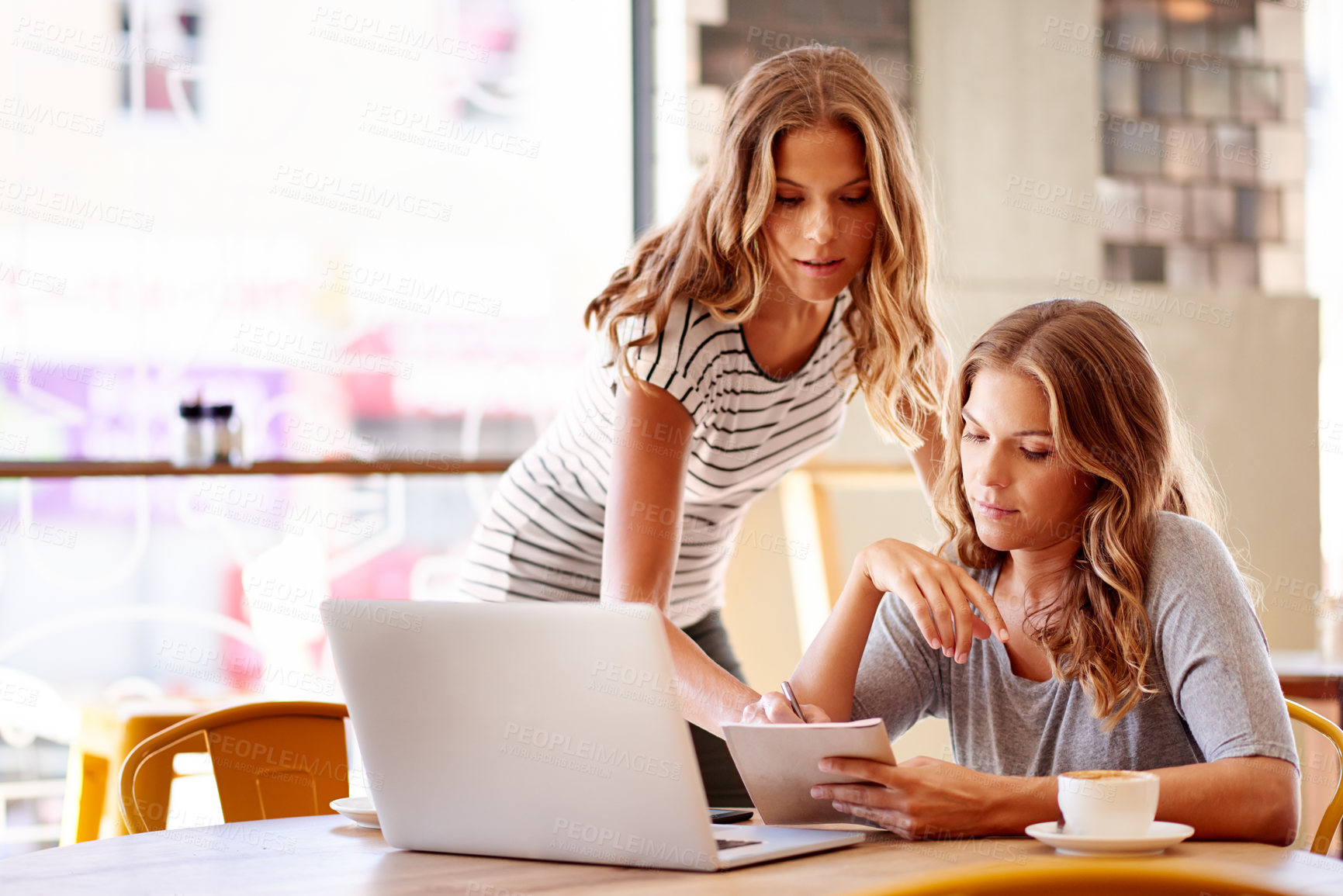 Buy stock photo Laptop, family business and writing with women in cafe for partnership, customer reviews or idea. Research, planning or hospitality industry with twin sisters in coffee shop for digital inventory