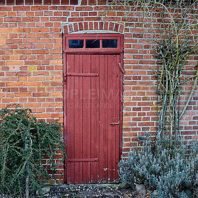 Buy stock photo Red door, plants or foliage with nature, entrance or pathway for garden design or natural growth at house. Empty, doorway or mysterious gate with brick wall, leaves or bushes at vintage or retro home