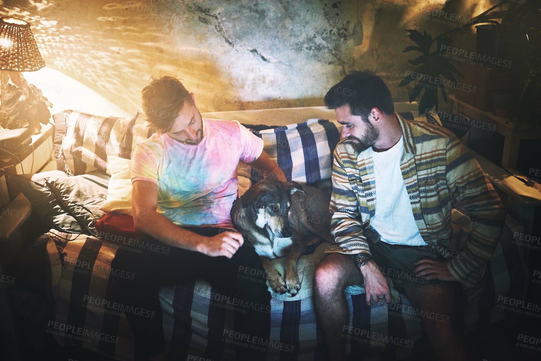 Buy stock photo Men, hipster or night with dog on sofa for weekend chill, bonding holiday or hangout at home. Young, male people or friends enjoying late evening together with pet, canine or animal on couch at house