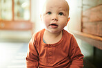 Looking, innocent and baby on the living room floor for playing, explore and curious in a house. Young, beautiful and a toddler sitting in the lounge for play, relaxation and adorable at home