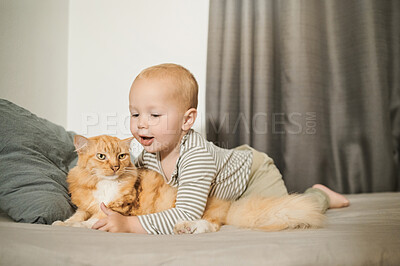 Buy stock photo Cat, child and bonding with love and care in home bedroom for fun, growth and development. Happy male toddler kid play with pet animal for learning, friendship or happiness on a bed while curious