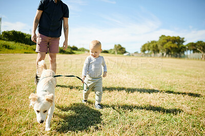 Buy stock photo Park, baby and father walking the dog in field for exercise, freedom and adventure in countryside. Family, pets and happy boy and dad outdoors with animal on holiday, summer vacation and weekend