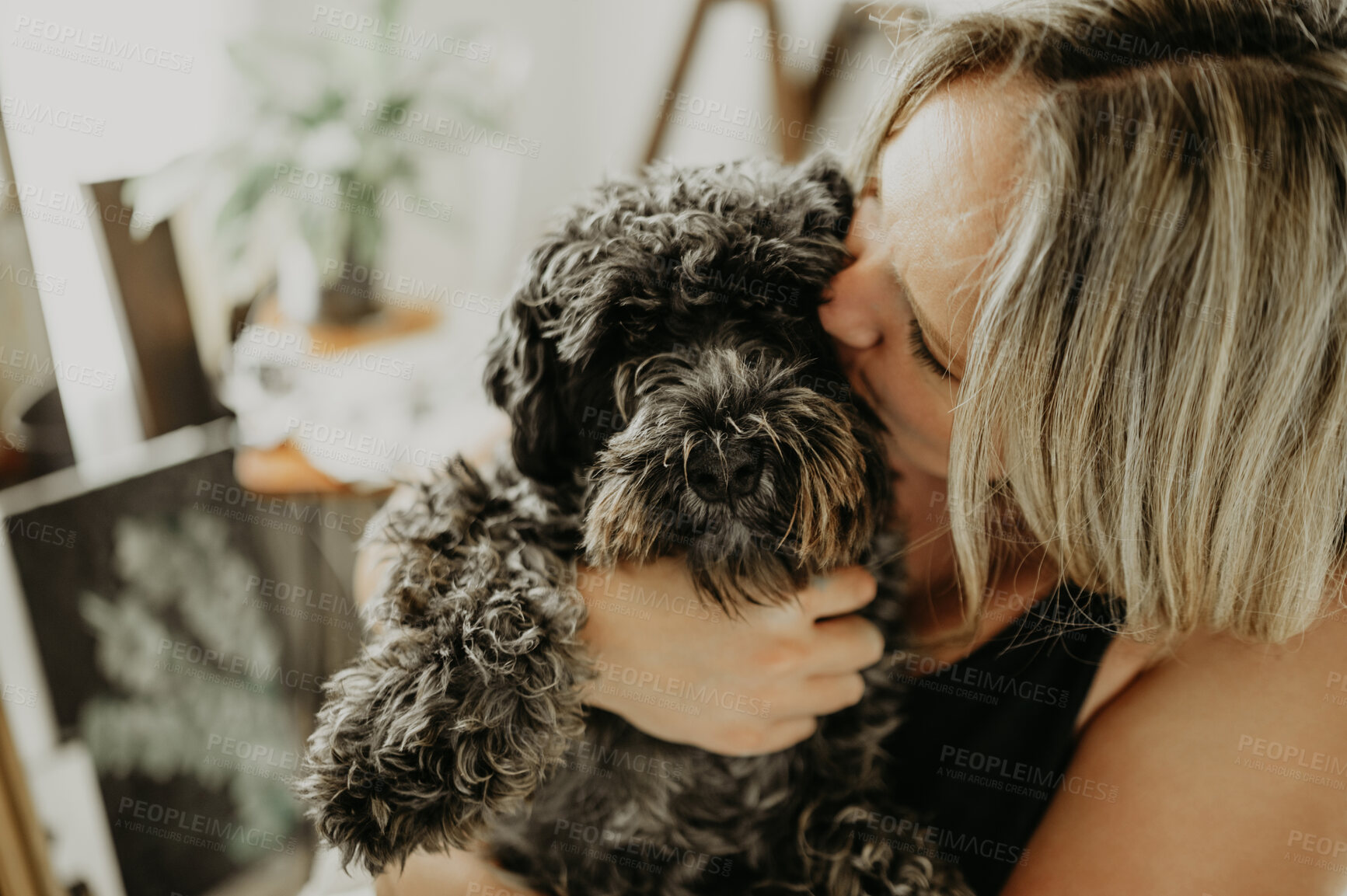 Buy stock photo Love, cuddle and a woman kissing her dog in a home studio or workshop for creative painting and art. Hug, puppy and painter with a female pet owner holding her cute animal companion in her house