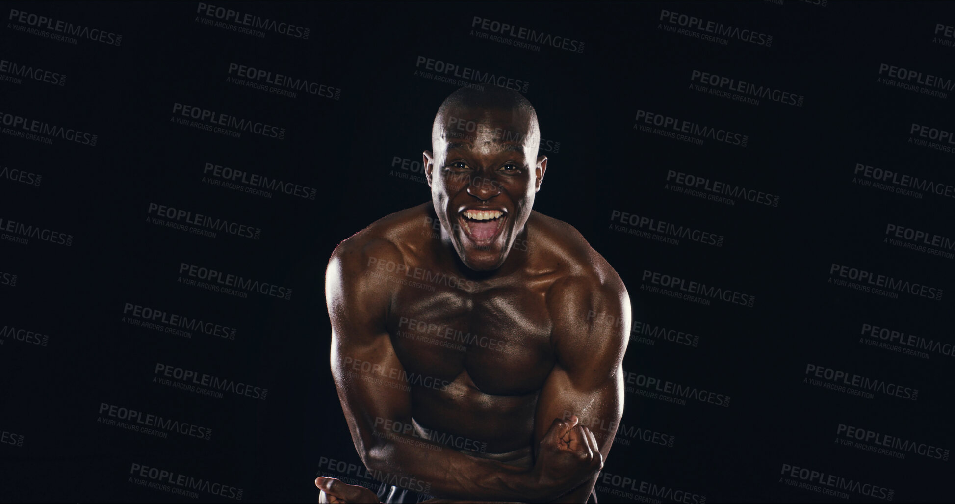 Buy stock photo Portrait, black man and flex for bodybuilding in studio for strong biceps, fitness workout or growth results. Bodybuilder, shout and muscle power, training performance and champion on dark background