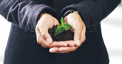Buy stock photo Hands, plant and soil with nature, growth and hope for sustainability and future. Business person, environment and leaf for support, accountability and eco development or green energy with startup