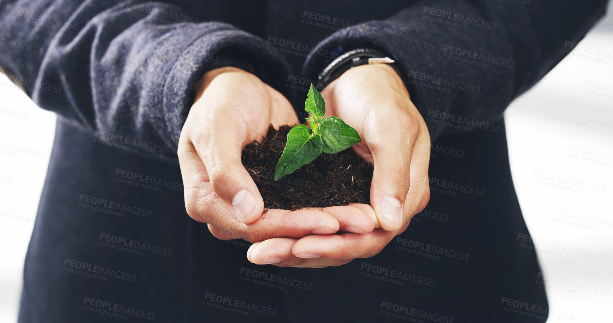 Buy stock photo Hands, plant and soil with nature, growth and hope for sustainability and future. Business person, environment and leaf for support, accountability and eco development or green energy with startup