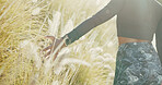 Growth, field and hand of person in nature for environment, travel adventure and freedom. Peace, wellness and sustainability with woman and plants in countryside meadow for vacation, park and calm
