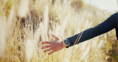 Buy stock photo Peace, field and hand of person in nature for environment, travel adventure and freedom. Growth, wellness and sustainability with woman and plants in countryside meadow for vacation, park and calm