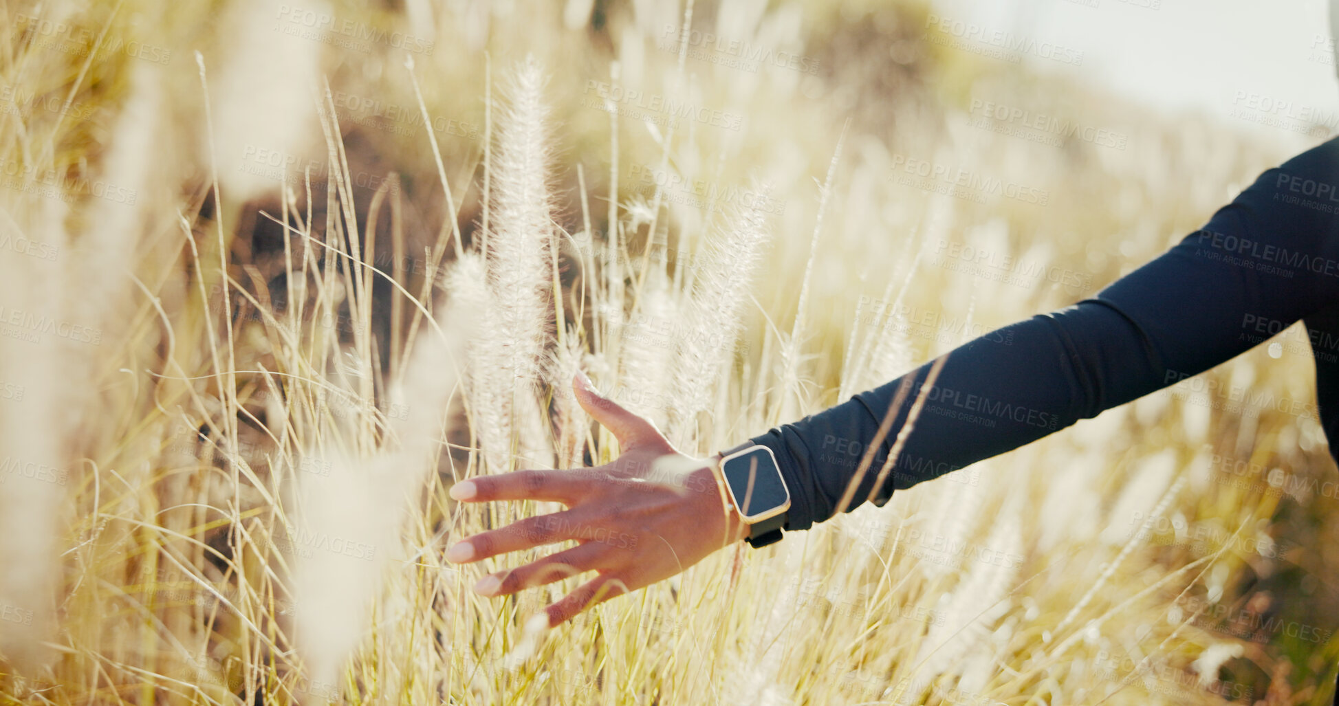 Buy stock photo Peace, field and hand of person in nature for environment, travel adventure and freedom. Growth, wellness and sustainability with woman and plants in countryside meadow for vacation, park and calm