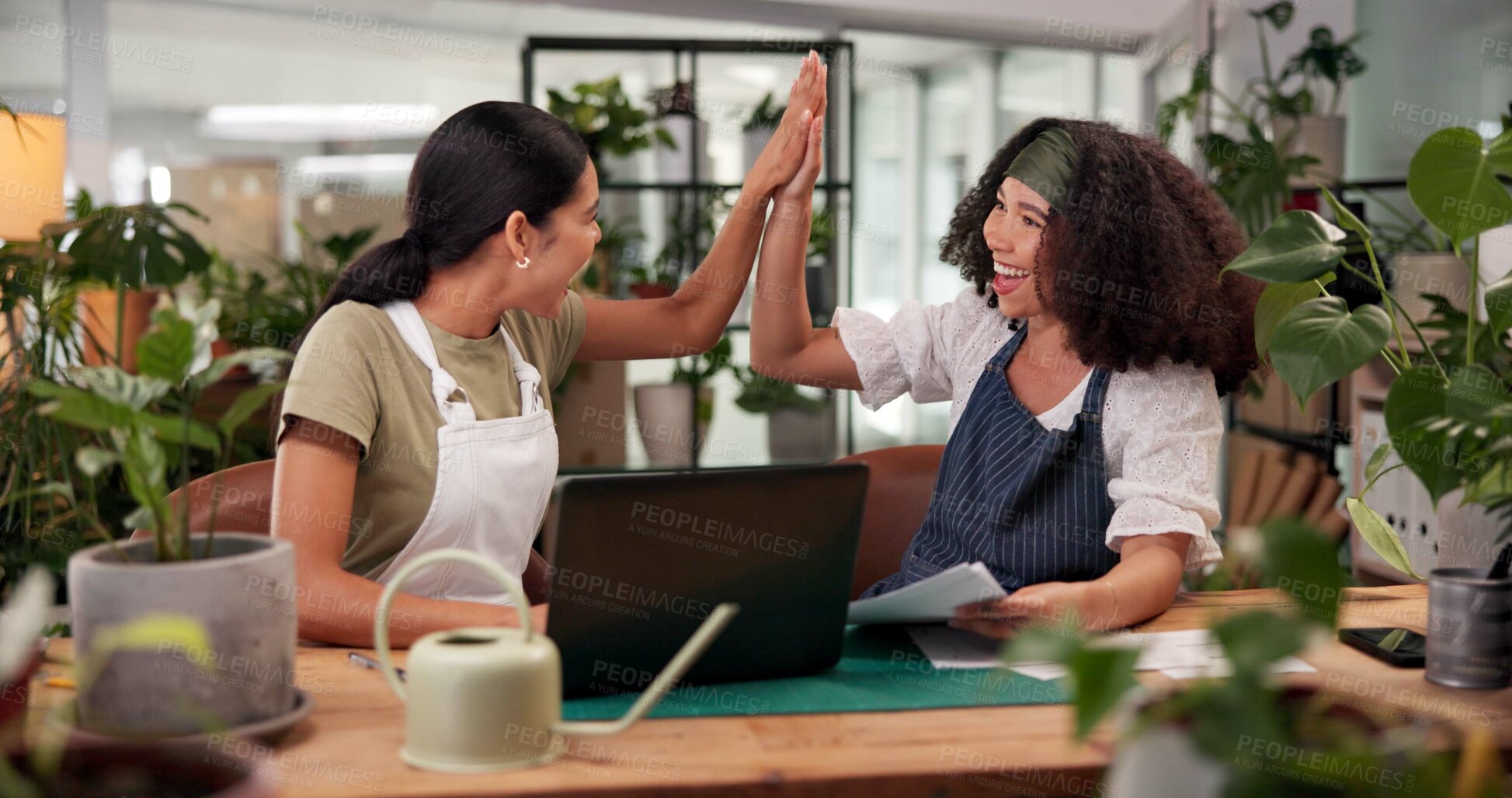 Buy stock photo High five, laptop and online order with women in plant nursery for success of floral sales. Budget, celebration and computer in flower shop with happy florist team at office desk for goals or target
