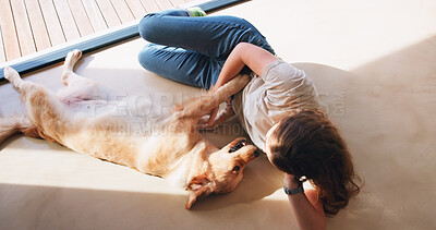 Buy stock photo Above, woman and dog relax in home with love, bonding and loyalty with pet adoption. Support animal, Labrador or owner on living room floor for foster care, friendship or stroke for trust development