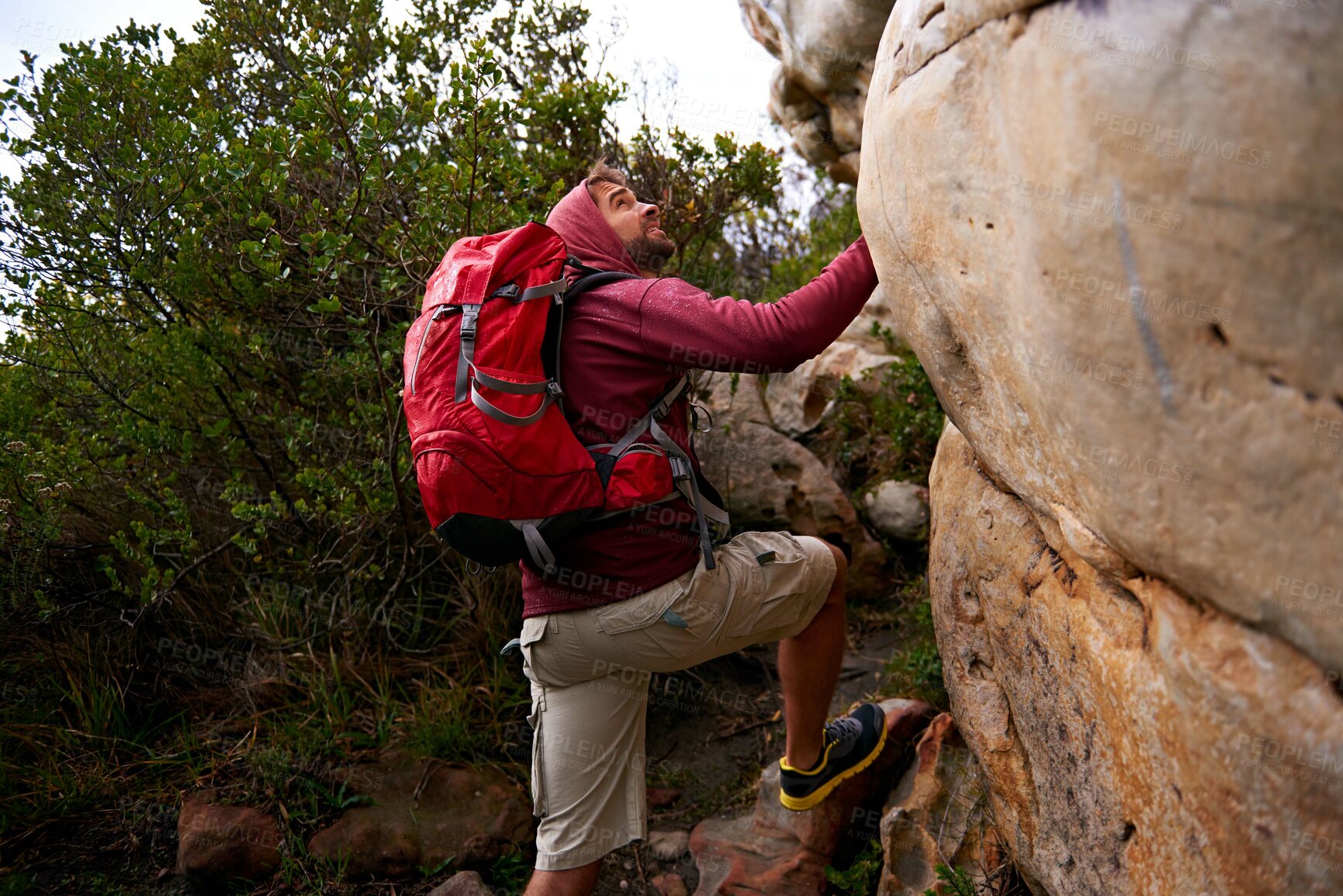 Buy stock photo Rock climbing, hiking and man on mountain, nature and environment for outdoor adventure. Male person, athlete or sport in environment for exercise, fitness or health with backpack by plants in forest