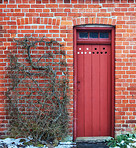 Red door, vines and secret passage with nature or hidden pathway for difference or pattern at house. Empty, doorway or natural growth with mysterious entrance for dimension or building improvement