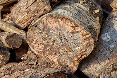 Buy stock photo Timber, wood and environmental with stack of log in nature for fuel, deforestation and lumber sawmill. Trees, climate change and habitat loss with pile of firewood for pattern, lumberjack or industry