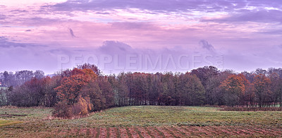 Buy stock photo Field, landscape and nature with trees in countryside for travel, grass and botany background. Growth, sustainability and adventure with plants in park environment for autumn season, sky and meadow