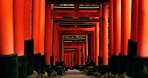 Japan, red torii gates and path in Fushimi inari-taisha for vacation, holiday or walkway for tourism. Pathway, Shinto religion and shrine in Kyoto for traditional architecture or spiritual culture