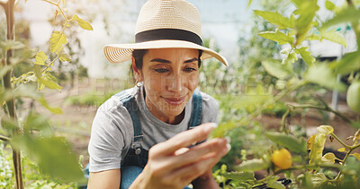 Buy stock photo Agriculture, inspection and woman with smile, growth and checking for harvest, farmer or outdoor. Sustainable business, production and person with plants in environment or happy for quality assurance