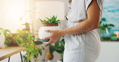 Buy stock photo Hands, growth and person with pot plant, house and closeup for home decor in living room or leaves. Greenery, gardener and eco friendly for environment, fresh or sustainability in apartment or sprout