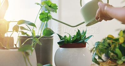 Buy stock photo Hands, person and water pot for plants of healthy growth, hydration and sustainable of nutrition. Woman, container and gardening process of leaf maintenance, chemical liquid and eco friendly at house