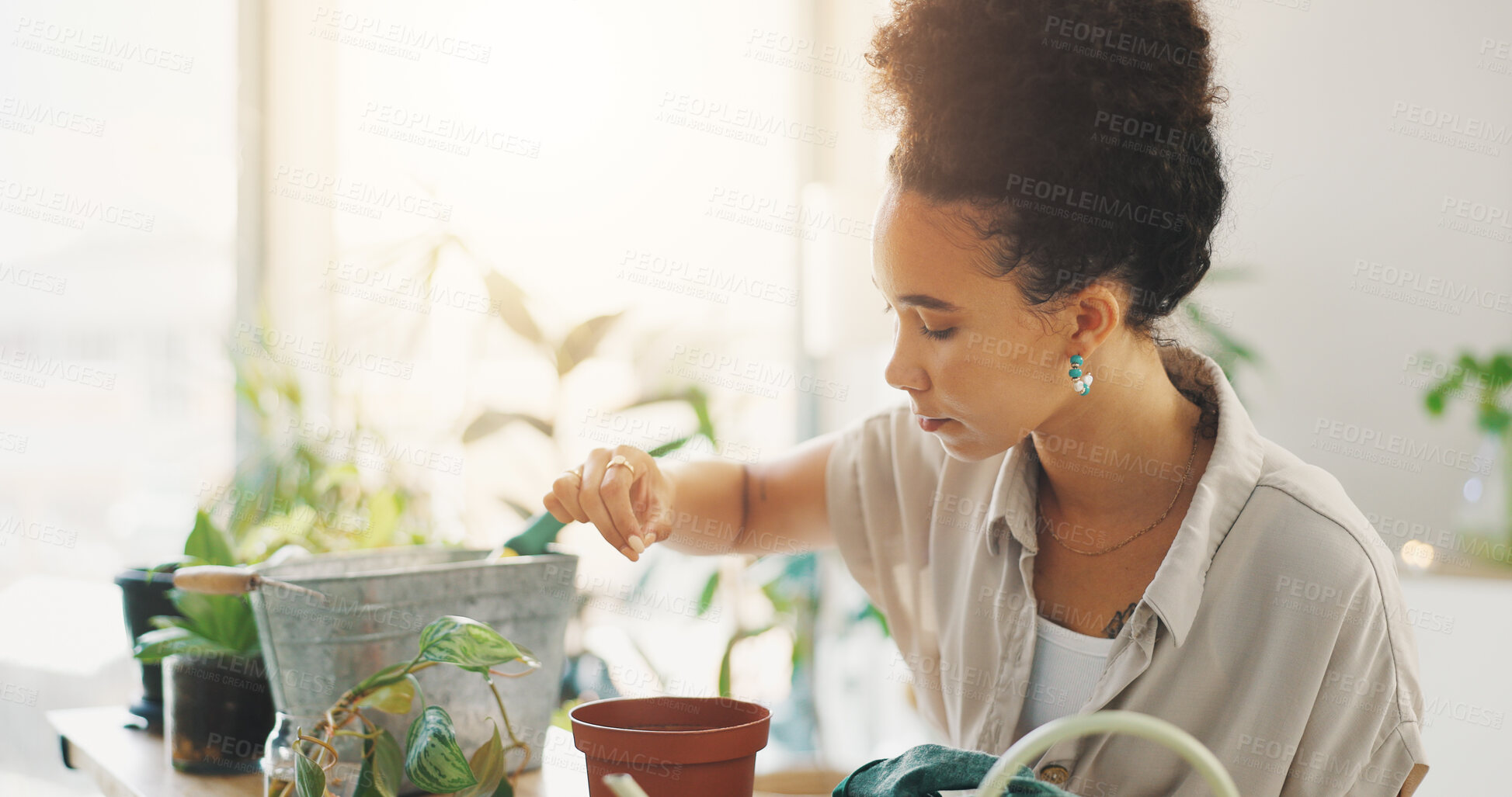 Buy stock photo Potted plant, soil and woman in kitchen of home with tools for planting flowers as horticulture hobby. Botany, gardening and growth with person in apartment for decor, growing herbs or landscaping