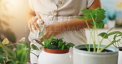 Buy stock photo Hands, woman and water plants at house for healthy growth, hydration and sustainable with nutrition. Person, spray bottle and gardening process with leaf maintenance, chemical liquid and eco friendly