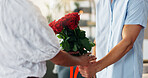 Roses, hands and couple in home for valentines day with love, support and gratitude. Giving, celebrate or people in house with bouquet of flowers, romance or gift for anniversary or bonding together