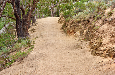 Buy stock photo Dirt road, travel and empty in nature, forest and path for journey in wilderness, way and countryside. Outdoor, trees and route for adventure, trip and environment of woods, morning and Canada