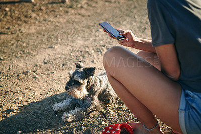 Buy stock photo Hands, dog and phone on outdoor in nature, rest and break with photography, post and social media. Person, yorkshire terrier and smartphone at farm in countryside, summer and mobile app in Spain