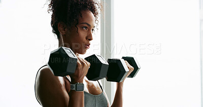 Buy stock photo Dumbbells, exercise and weightlifting with woman in home gym for strength training or workout. Breathing, fitness and intensity with bodybuilder person in apartment for challenge or performance