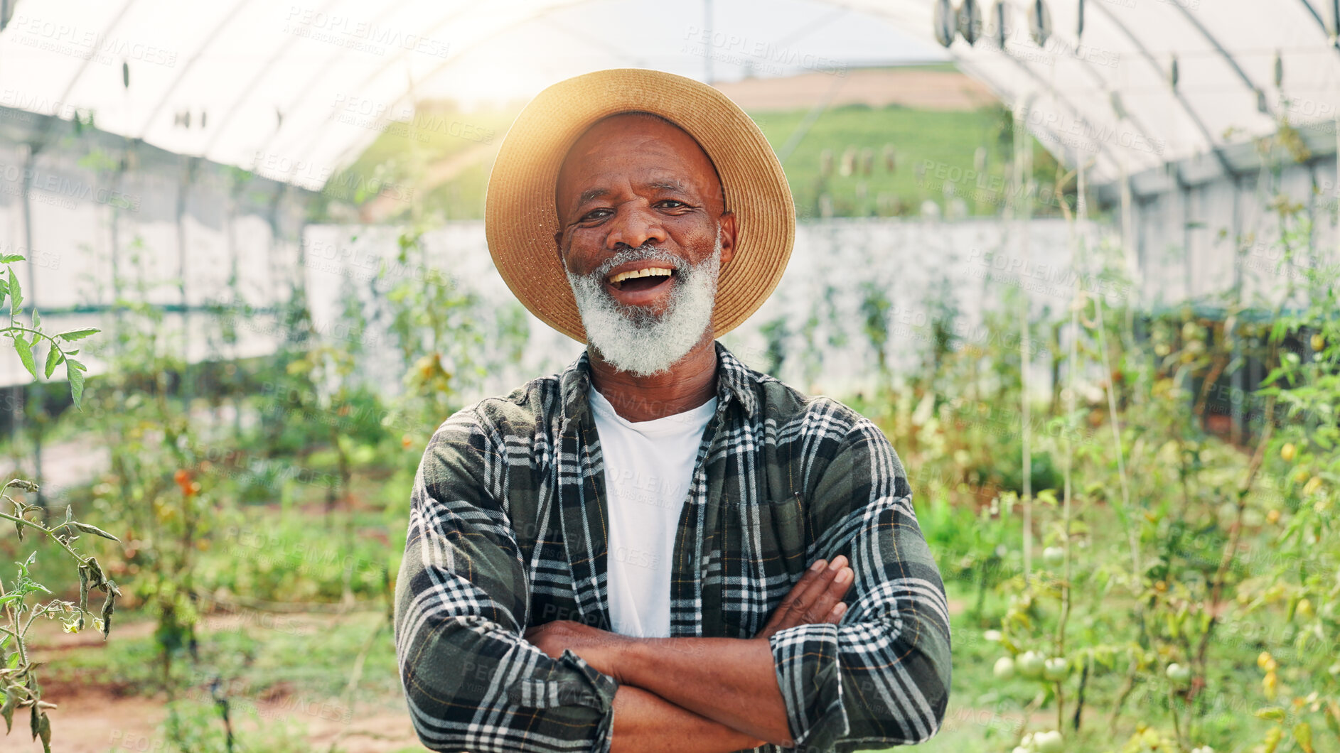 Buy stock photo Crossed arms, greenhouse and portrait of mature man on farm with plants for growth, sustainability and harvest. Agriculture, happy and African farmer with agrobusiness for crops, vegetables and food