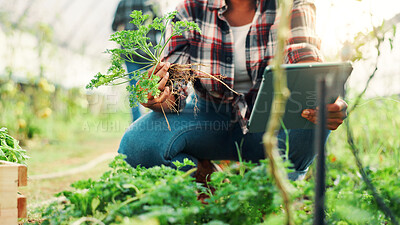 Buy stock photo Greenhouse, plants and hands with tablet for inspection, agriculture information and harvesting tips. Closeup, person and farmer with digital for farming, sustainability and crops research for growth