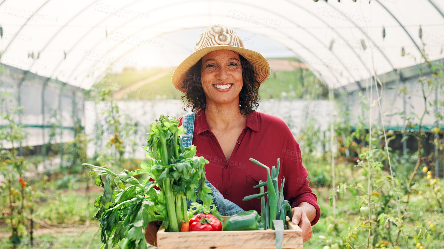 Buy stock photo Greenhouse, gardening and woman with portrait, vegetables and pride with agriculture. Person, countryside and farmer with harvest, sustainable business and happiness with smile or environment
