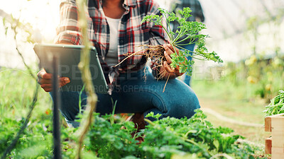 Buy stock photo Greenhouse, plants and hands with tablet for farming, agriculture information and harvesting tips. Closeup, person and farmer with digital for online inspection, sustainability and crops for growth