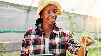 Buy stock photo Farmer, plant and check with black woman in greenhouse for agriculture, vegetables and growth. Sustainability, food production and online with person on farm for inspection, eco friendly and harvest