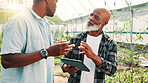 Tablet, black people or farmers in greenhouse for farming crops, harvest growth or sustainability. Talking, men or African gardeners with vegetables plants for gardening, research or healthy food