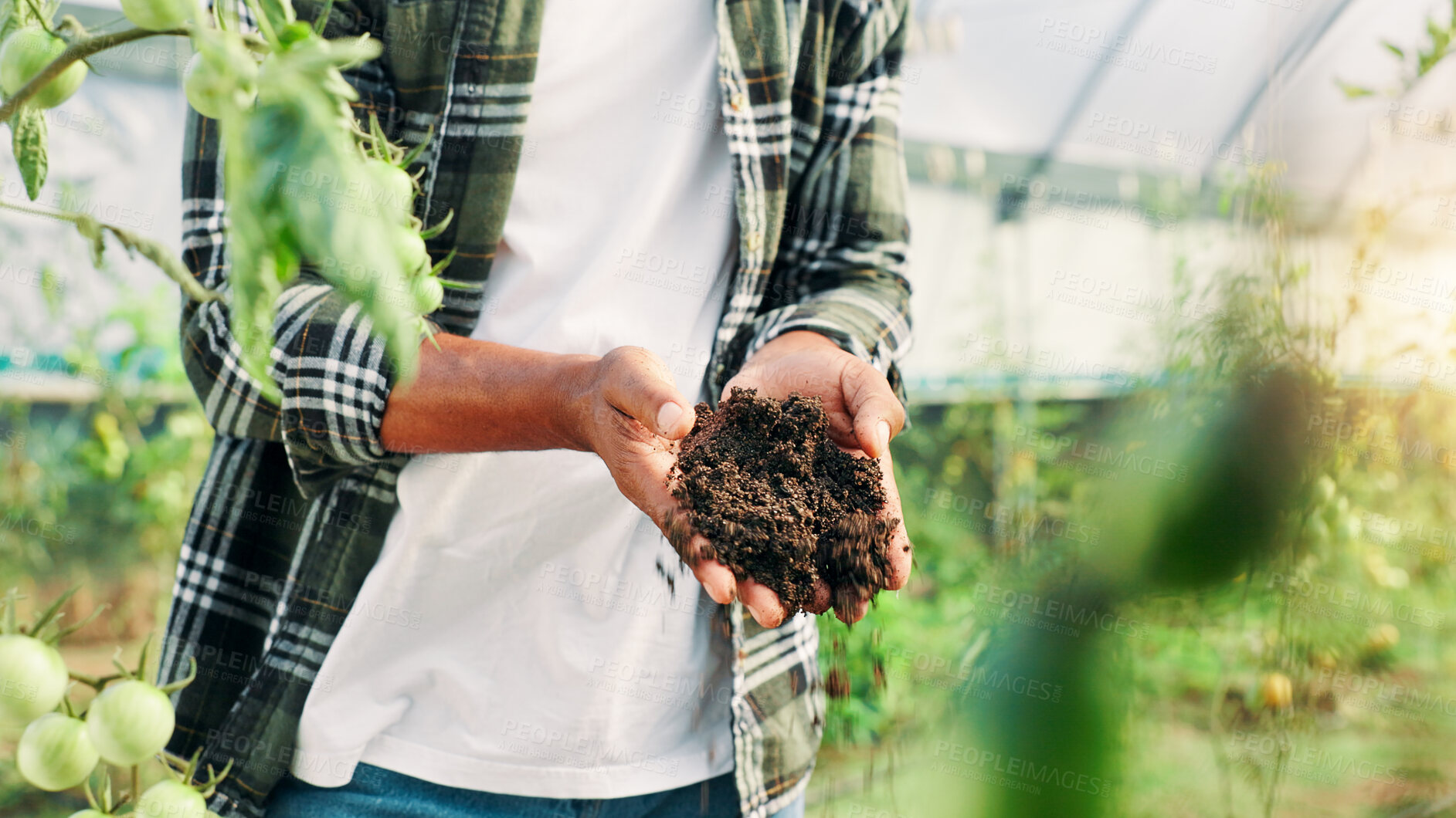 Buy stock photo Hands, farmer and soil inspection in greenhouse for quality assurance, fertility and dirt with sustainability. Person, sand and check earth for plants, crops and pH level with texture in countryside