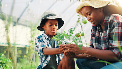 Buy stock photo Gardening, mother or son with vegetables, learning or greenhouse with nature, bonding together or teaching. African family, parent or mama with child, environment or growth with agriculture or plants