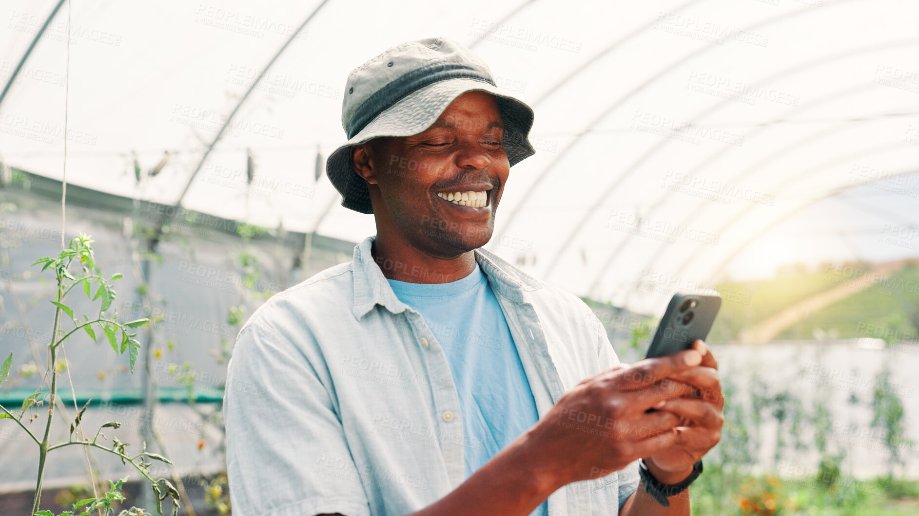 Buy stock photo Farming, black man and smile with phone for agriculture, plants information and app for harvesting tips. Greenhouse, person and farmer with mobile for online review, sustainability and crops growth