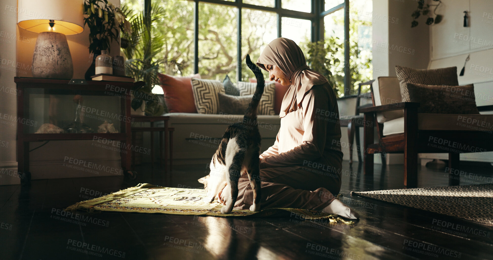 Buy stock photo Muslim woman, prayer and cat in home, Islam or pet with worship for Allah in morning. Person, hijab and back for Ramadan, animal and religion with God for fasting, dua and profile at apartment