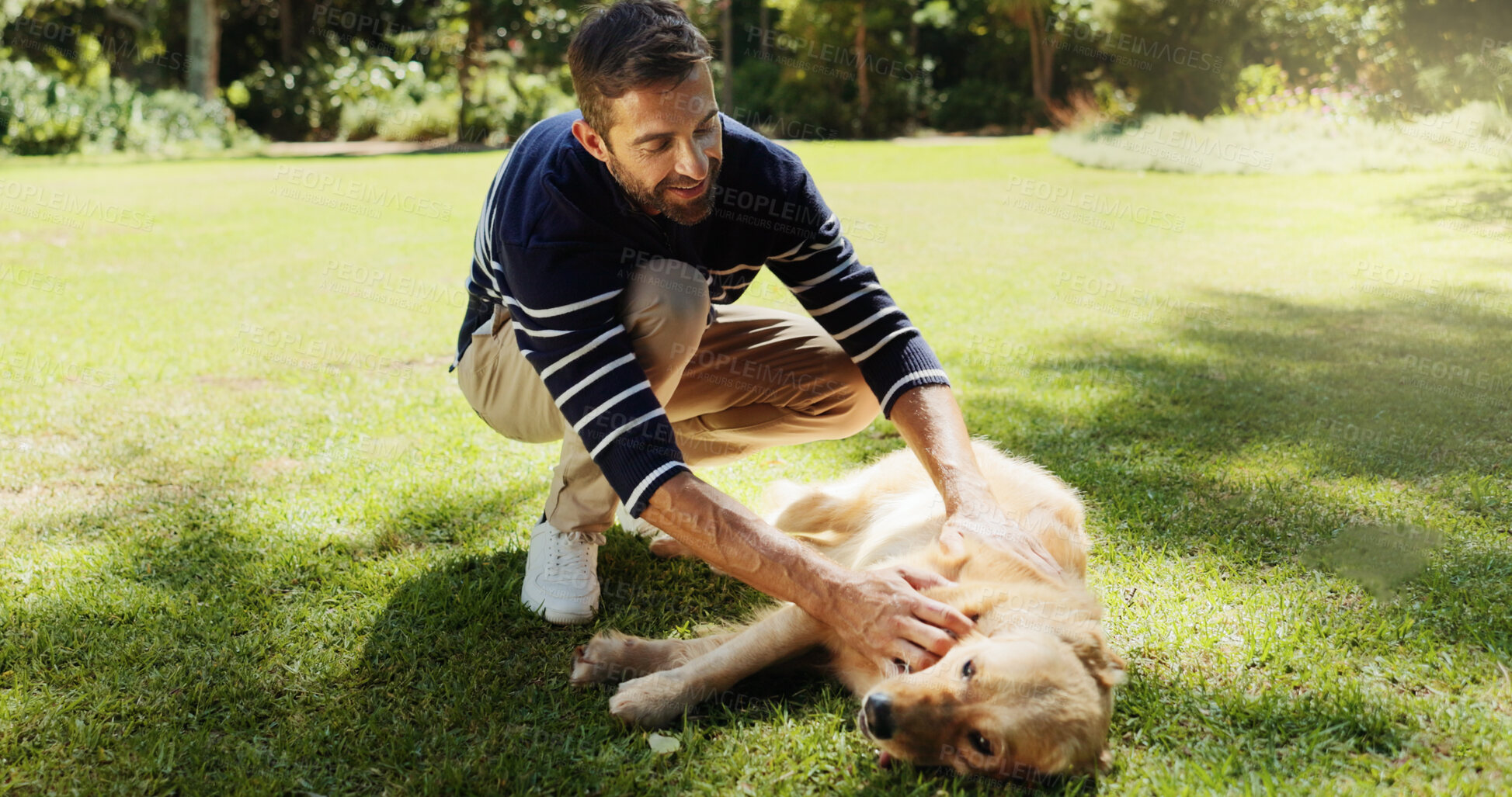 Buy stock photo Smile, dog and bonding with man in park for support, foster care and animal training. Golden retriever, summer and happiness with person and pet adoption in nature for canine, support and wellness