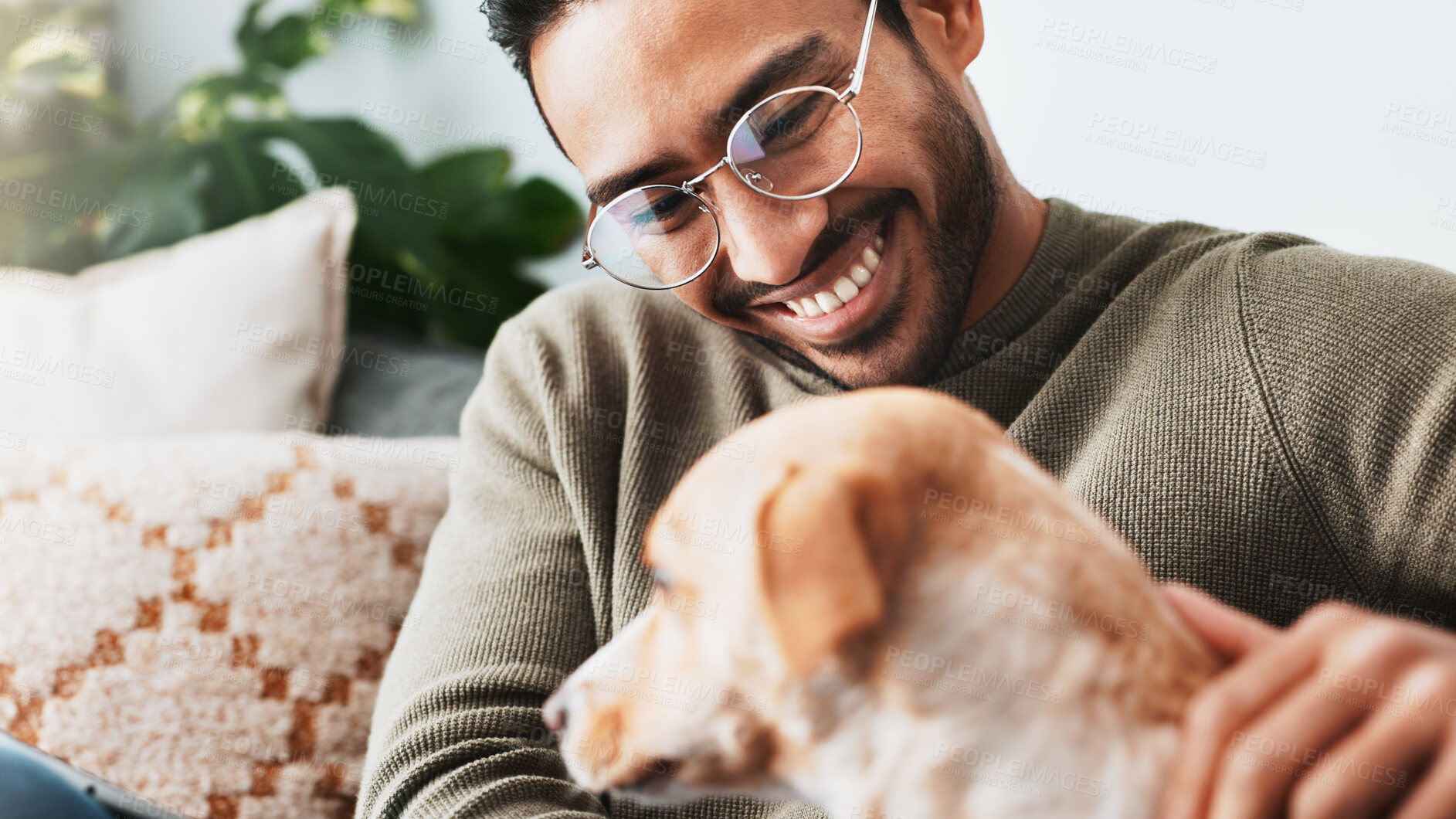 Buy stock photo Smile, man and play with dog in living room for love, care and bonding together as friends or companion. Pet animal, scratch and person in home on sofa for support, connection and relax with tablet