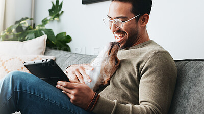 Buy stock photo Home, dog and man with tablet, smile and relax with social media, laughing and communication. Apartment, person and guy on sofa, tech and best friend with pet, happiness and website info for animals