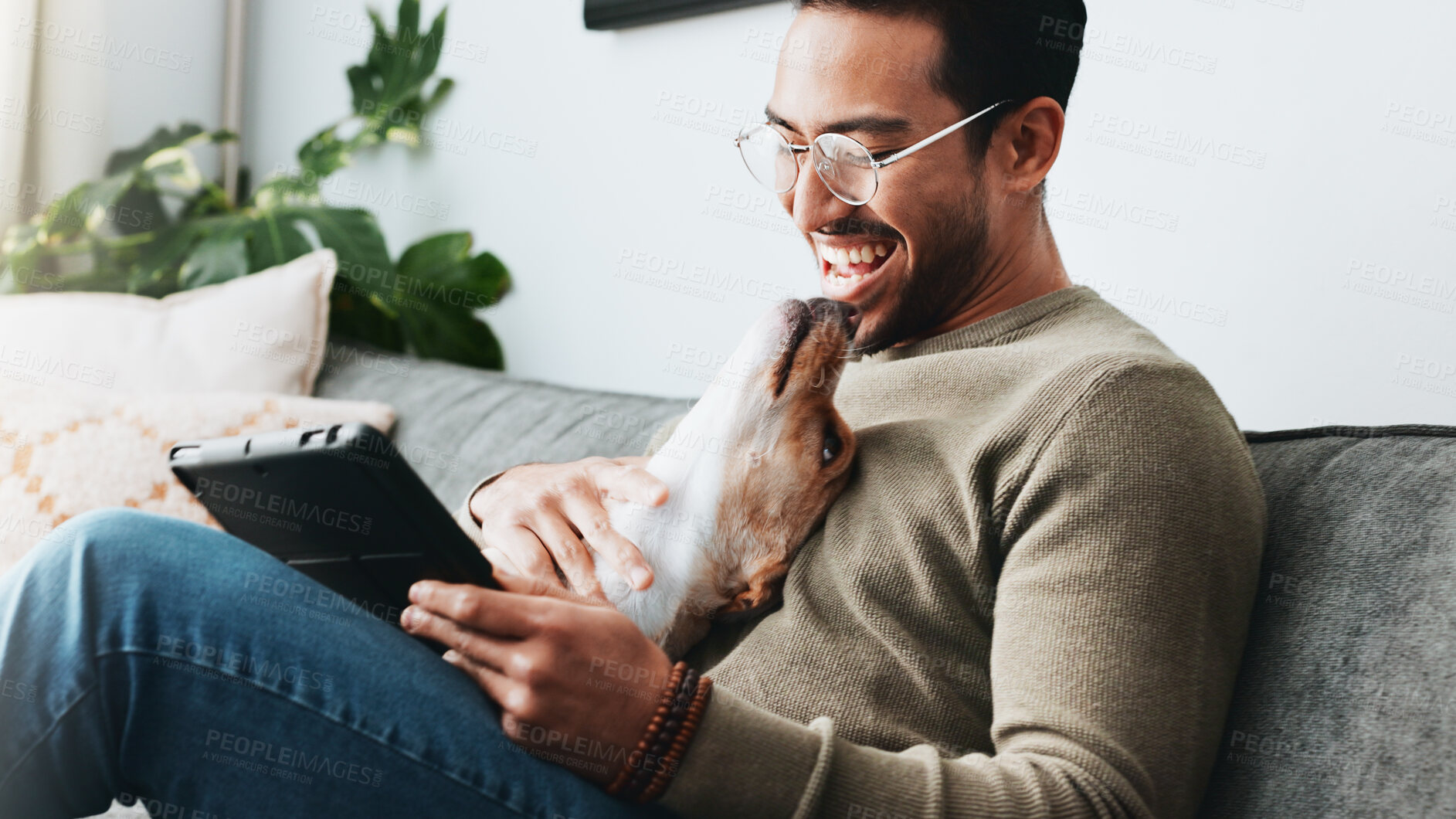 Buy stock photo Home, dog and man with tablet, smile and relax with social media, laughing and communication. Apartment, person and guy on sofa, tech and best friend with pet, happiness and website info for animals