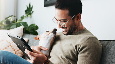 Buy stock photo Home, dog and man with tablet, relax and social media with connection, internet and communication. Apartment, person and guy on sofa, tech and best friends with pet, smile and website info for animal