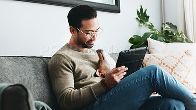 Buy stock photo Home, dog and man on couch, tablet and relax with social media, pet and communication. Apartment, person and guy with tech, internet and best friend with connection, app and website info for animals