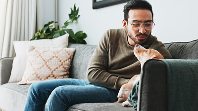Buy stock photo Asian man, relax and play with dog in home for love, care and bonding together as friends or companion. Pet animal, scratch and person in living room on sofa for support, connection and loyalty