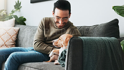 Buy stock photo Happy, man and play with pet dog in home for love, care and bonding together as friends or companion. Animal, scratch and person in living room on sofa for support, connection and relax on weekend
