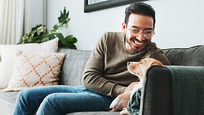 Buy stock photo Happy man, animal and play with dog in home for love, care and bonding together as friends or companion with loyalty. Pet, scratch and person in living room on sofa for support, connection and relax