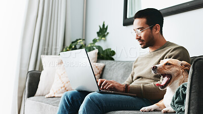 Buy stock photo Typing, dog and laptop with man on sofa for streaming, social media and relax. Reading, networking and online with person and pet in living room of home for blog post update, information and research