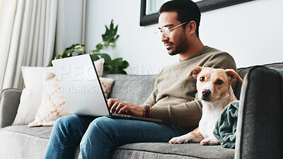 Buy stock photo Reading, dog and laptop with man on sofa for streaming, social media and relax. typing, networking and online with person and pet in living room of home for blog post update, information and research